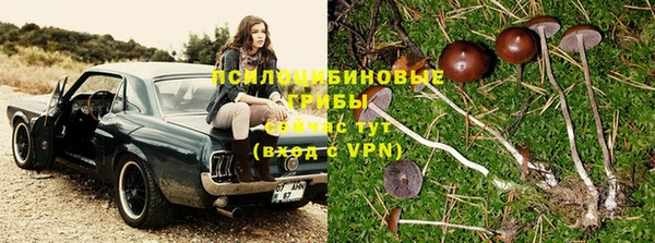 дживик Куйбышев
