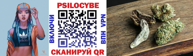 Псилоцибиновые грибы GOLDEN TEACHER  Купить  Новоржев 