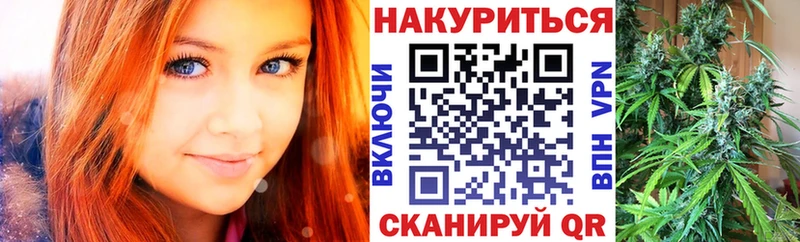 Бошки марихуана OG Kush Новоржев